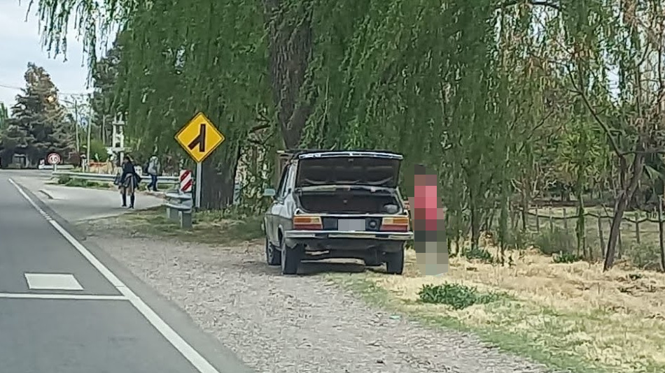 Renault 12 gris, Rama Caída