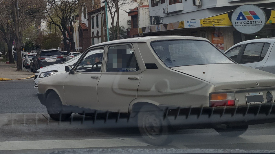 Renault 12 gris, Parque Sarmiento