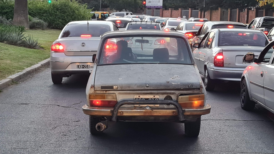 Renault 12 blanco y gris, Agronomía