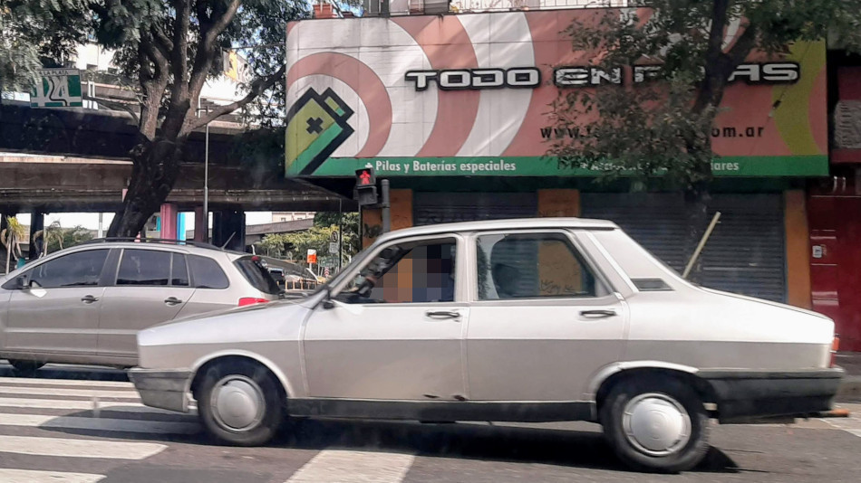 Renault 12 gris claro, Constitución