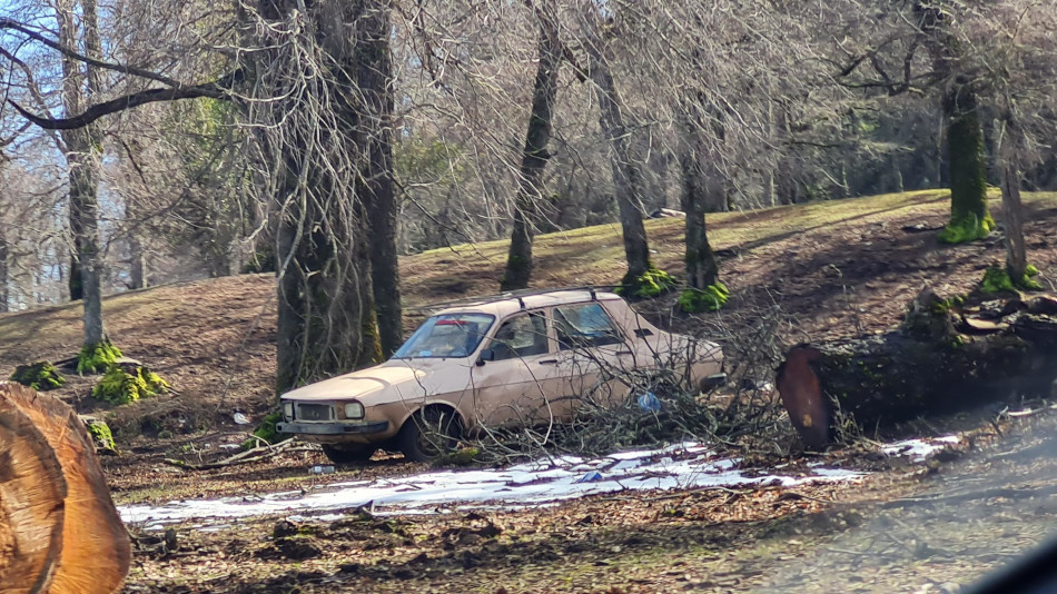 Renault 12 champagne, San Martín de los Andes