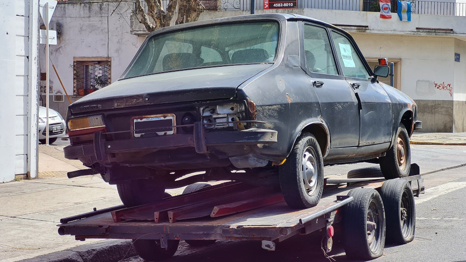 Renault 12 gris oscuro, Paternal