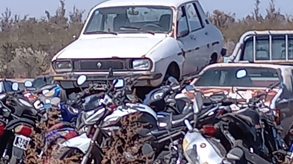 Renault 12 blanco, Zapata, Mendoza